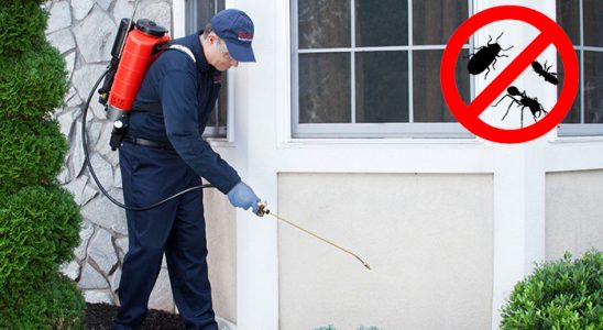 Çatalzeytin Dezenfeksiyon böcek ilaçlama ve haşere kontrolü — ilaclama-tr.com